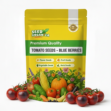 Tomato Seeds – Blue Berries