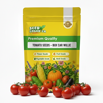 Tomato Seeds – Box Car Willie