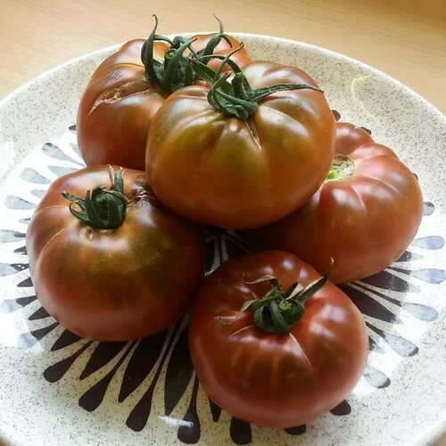 Tomato Seeds – Brown