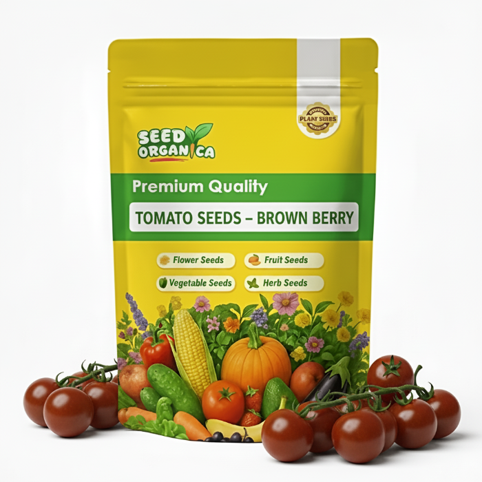 Tomato Seeds – Brown Berry
