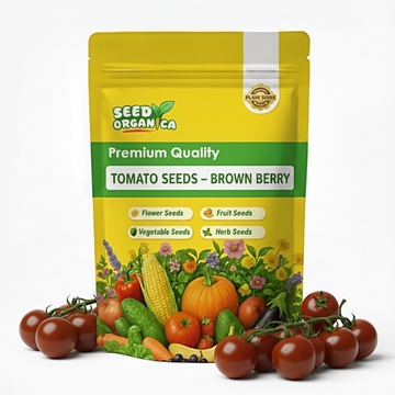 Tomato Seeds – Brown Berry