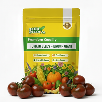 Tomato Seeds – Brown Giant