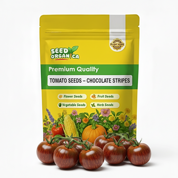 Tomato Seeds – Chocolate Stripes