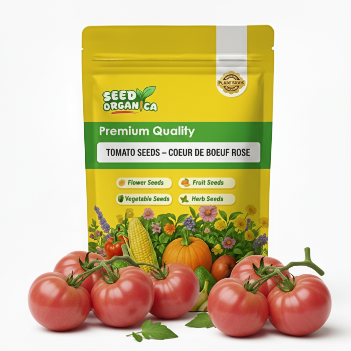 Tomato Seeds – Coeur de Boeuf Rose
