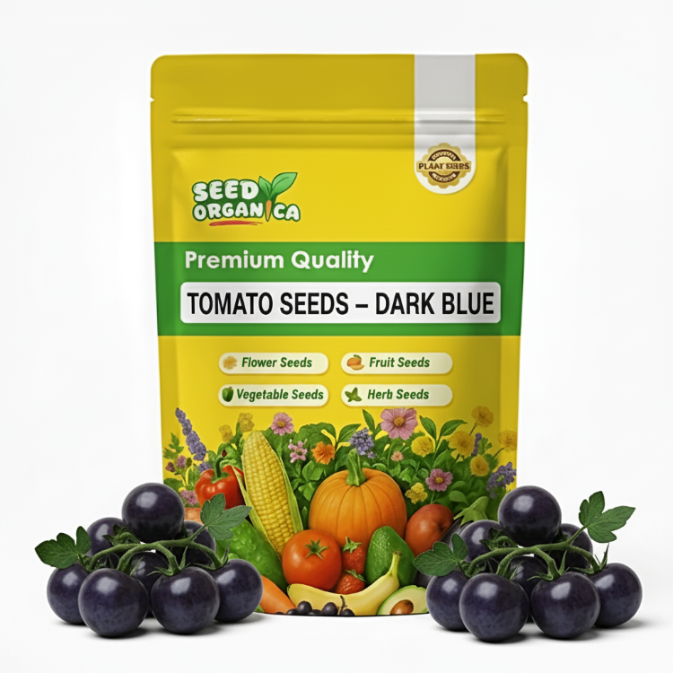 Tomato Seeds – Dark Blue