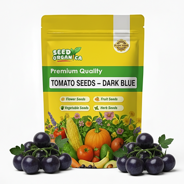 Tomato Seeds – Dark Blue
