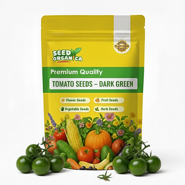 Tomato Seeds – Dark Green