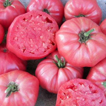 Tomato Seeds – Dark Pink