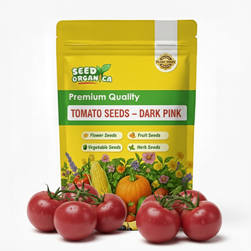 Tomato Seeds – Dark Pink