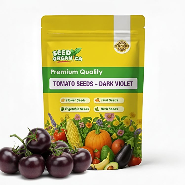 Tomato Seeds – Dark Violet