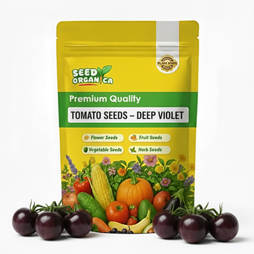 Tomato Seeds – Deep Violet