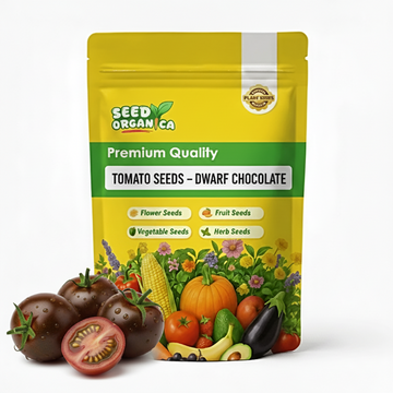 Tomato Seeds – Dwarf Chocolate