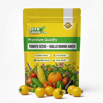 Tomato Seeds – Giallo Grandi Amish
