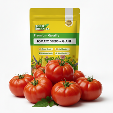 Tomato Seeds – Giant