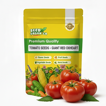 Tomato Seeds – Giant Red Oxheart
