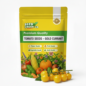 Tomato Seeds – Gold Currant