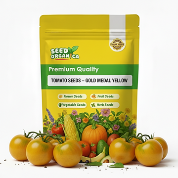 Tomato Seeds – Gold Medal Yellow