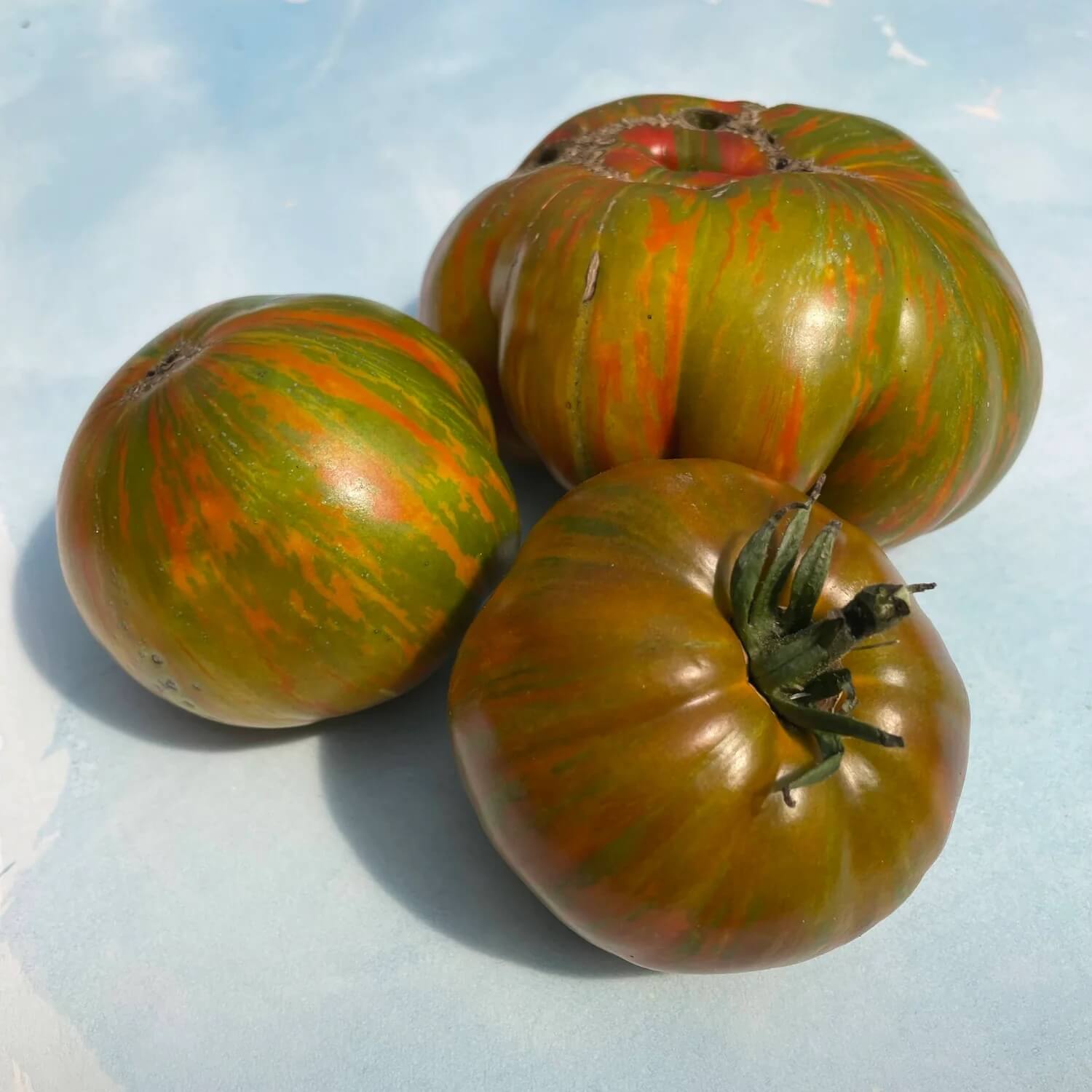 Tomato Seeds – Green Brown