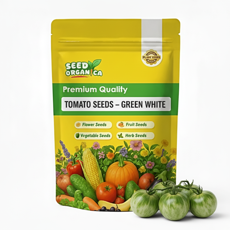 Tomato Seeds – Green White