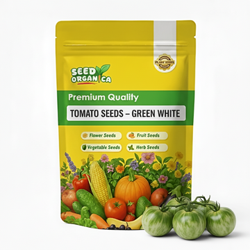 Tomato Seeds – Green White