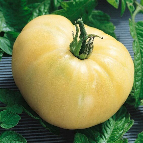 Tomato Seeds – Heirloom Beefsteak
