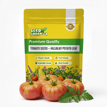 Tomato Seeds – Hillbilly Potato Leaf