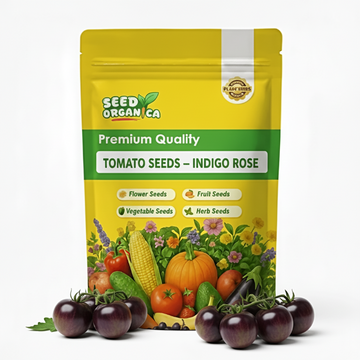 Tomato Seeds – Indigo Rose