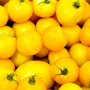 Tomato Seeds – Lemon Boy