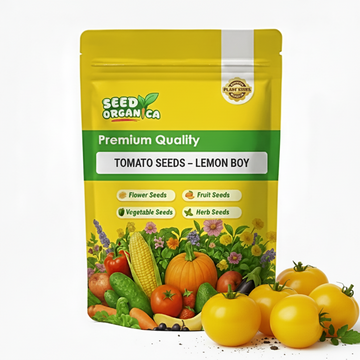 Tomato Seeds – Lemon Boy