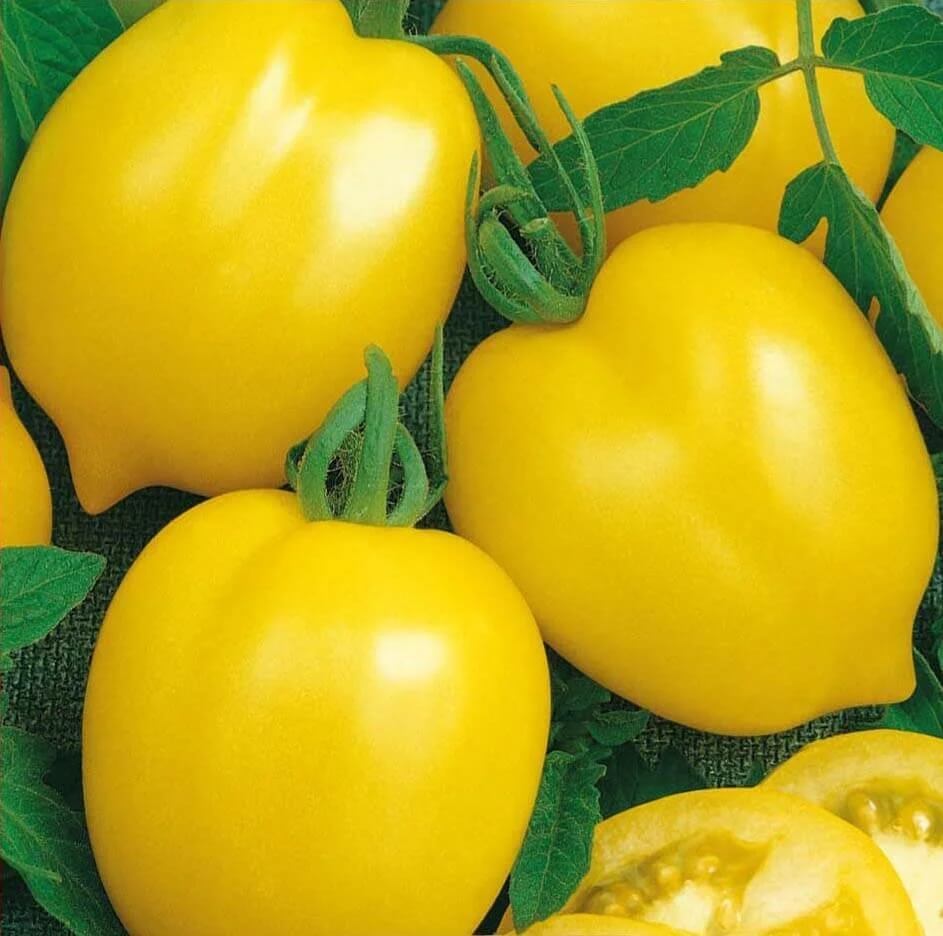Tomato Seeds – Lemon Tree