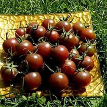 Tomato Seeds – Light Brown