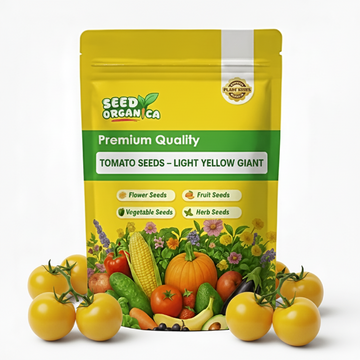 Tomato Seeds – Light Yellow Giant