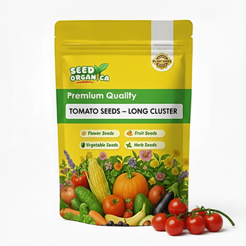 Tomato Seeds – Long Cluster