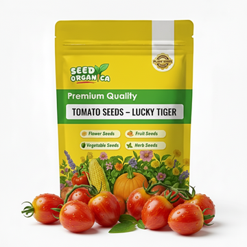 Tomato Seeds – Lucky Tiger