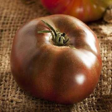 Tomato Seeds – Maroon