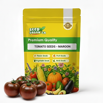 Tomato Seeds – Maroon 