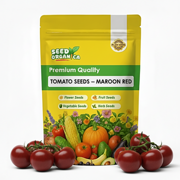 Tomato Seeds – Maroon Red