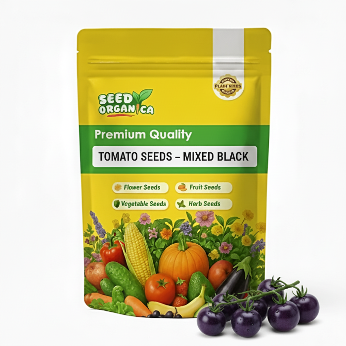 Tomato Seeds – Mixed Black