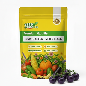 Tomato Seeds – Mixed Black