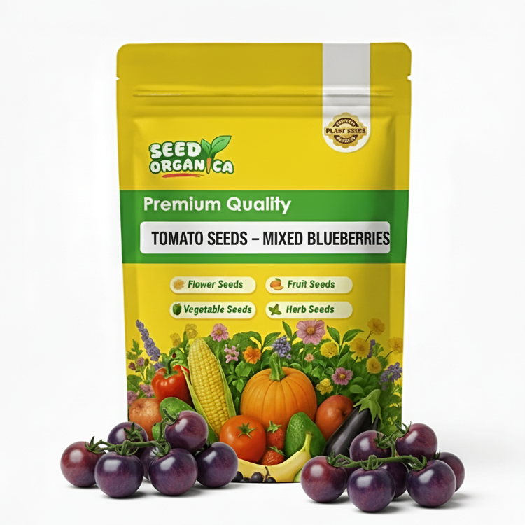 Tomato Seeds – Mixed Blueberries