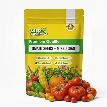 Tomato Seeds – Mixed Giant
