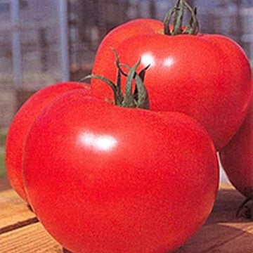 Tomato Seeds – Momotaro