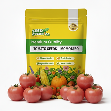 Tomato Seeds – Momotaro