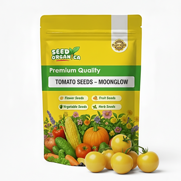 Tomato Seeds – Moonglow
