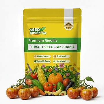 Tomato Seeds – Mr. Stripey