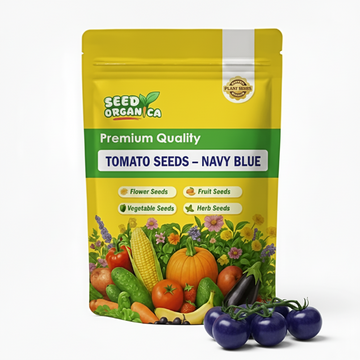 Tomato Seeds – Navy Blue