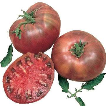 Tomato Seeds – Nut Brown