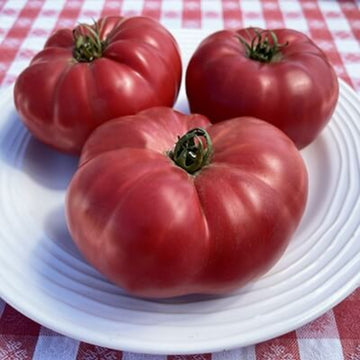 Tomato Seeds – Omar’s Giant