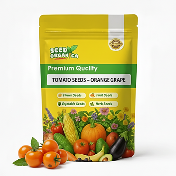 Tomato Seeds – Orange Grape