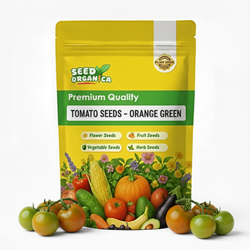 Tomato Seeds – Orange Green